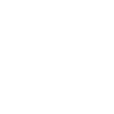 brand logo 4